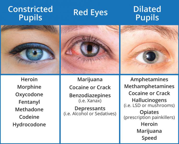 Pupil Dialation Drug Chart 746x600 1 