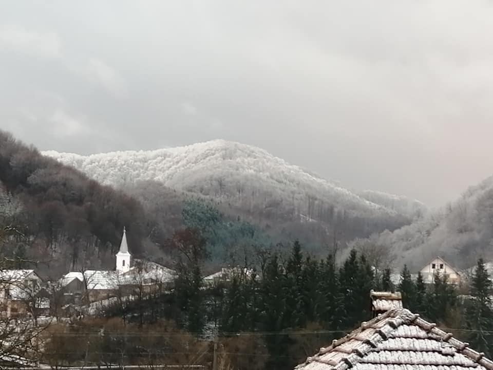 Ar putea fi o imagine cu Castelul Bran şi munte