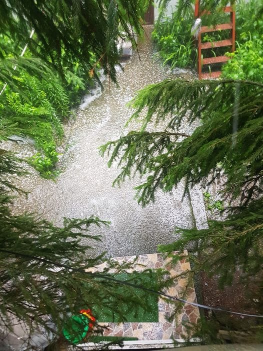 Nu este disponibilă nicio descriere pentru fotografie.