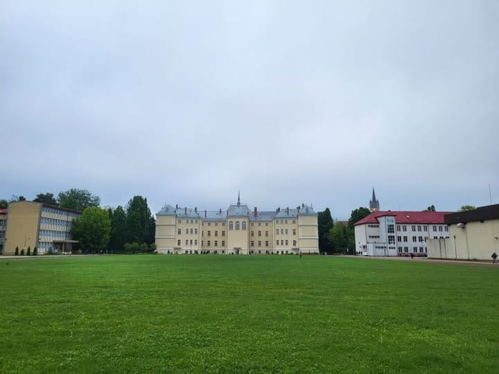 Ar putea fi o imagine cu 1 persoană şi castel